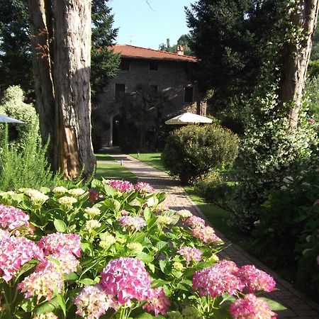 L'Arcadia Guest House Pietrasanta Exterior photo